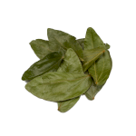 Bobinsana Листья | Calliandra angustifolia