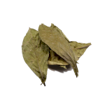 Psychotria viridis (Листья Чакруна) 250 грамм