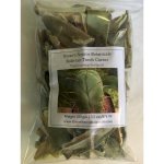 Купить Кактус Trichocereus Bridgesii (Achuna cactus) 150 грамм