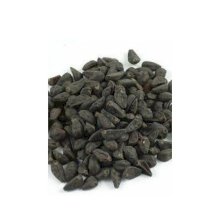 Купить Семена Ipomoea violacea (Ипомея Утреннее сияние)